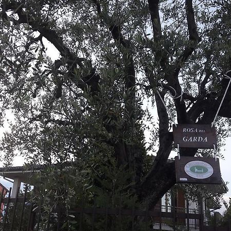 B&B Rosa Del Garda Lazise Eksteriør bilde
