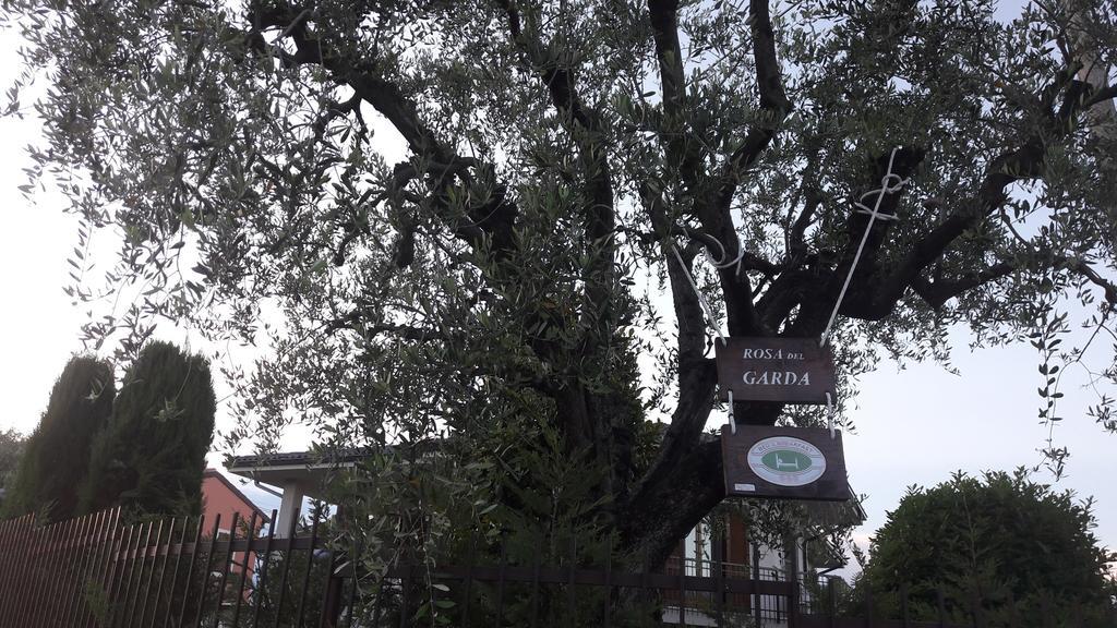B&B Rosa Del Garda Lazise Eksteriør bilde